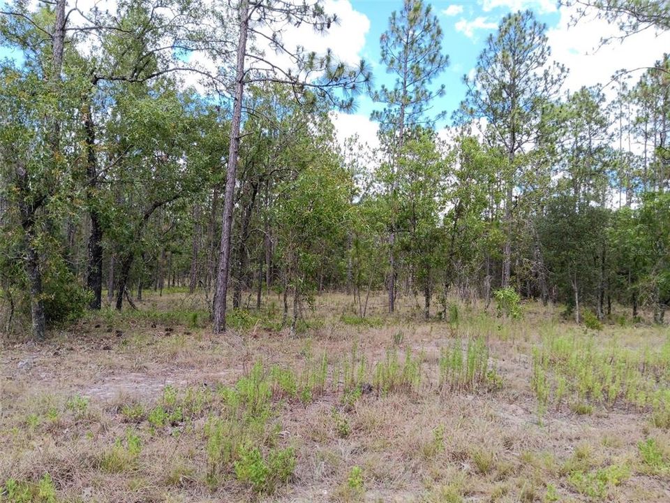 For Sale: $27,500 (1.04 acres)