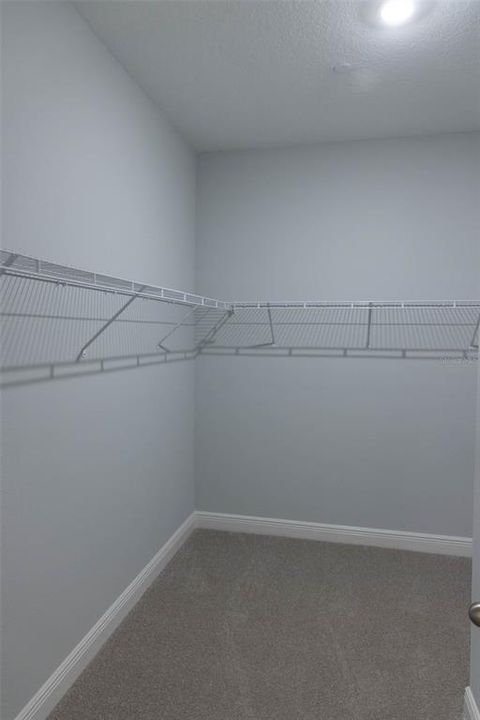 Large Master Walk-in-Closet