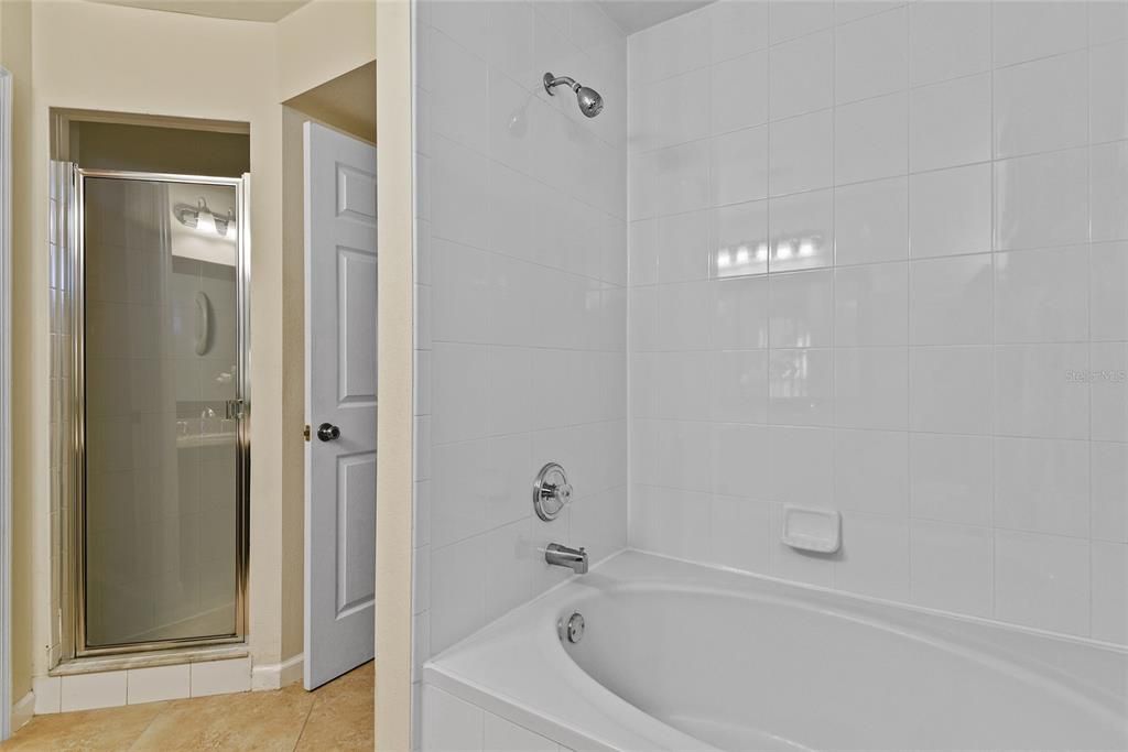 Walk-in Shower plus separate soaking tub