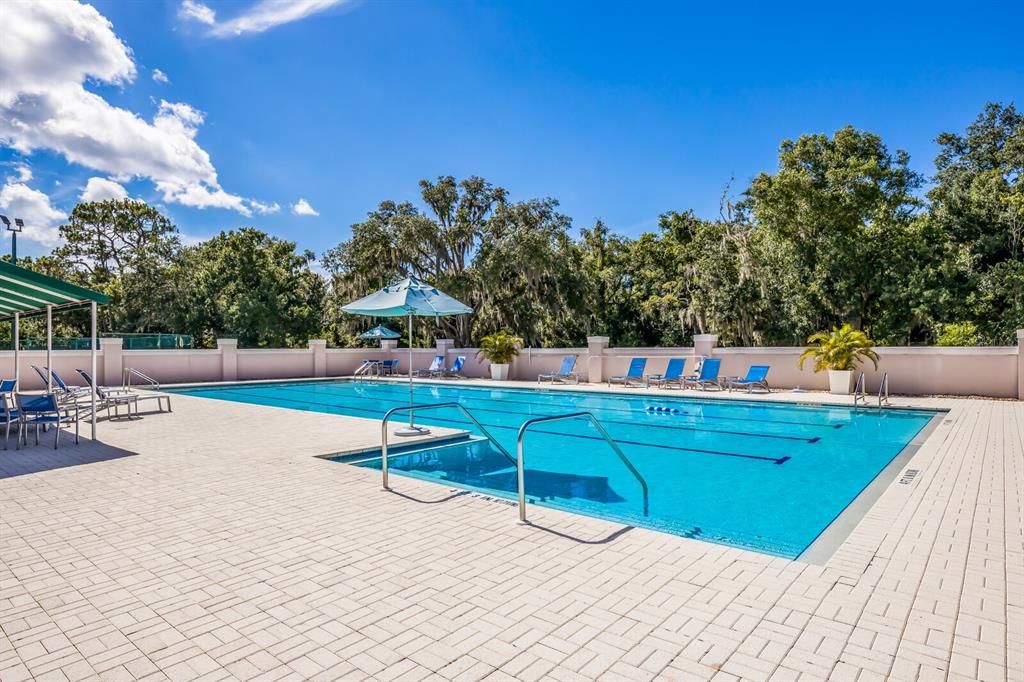 Junior-size Olympic swimming pool.