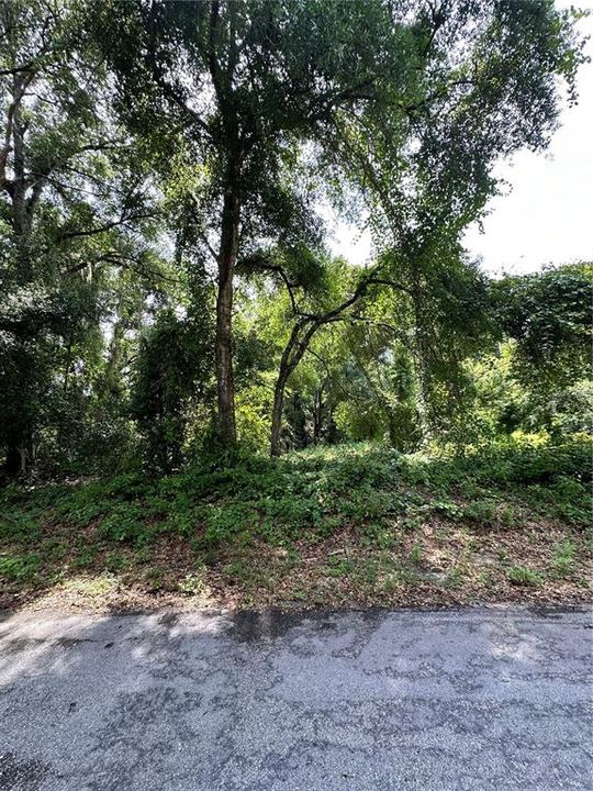 En Venta: $11,000 (0.28 acres)