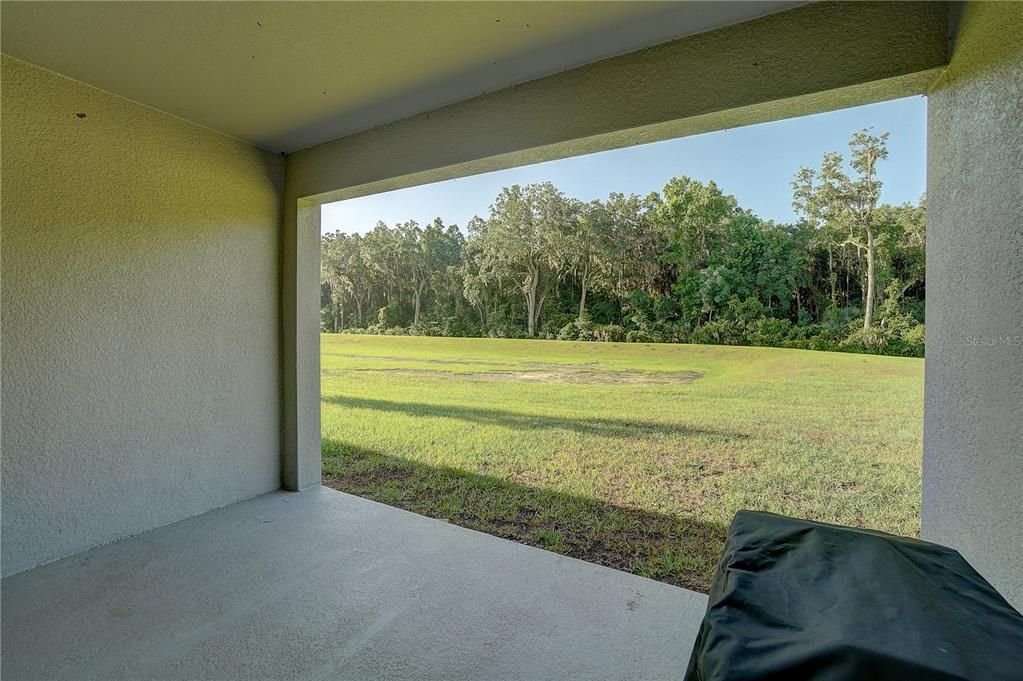 Back Covered Patio showing conservation no build in rear of home