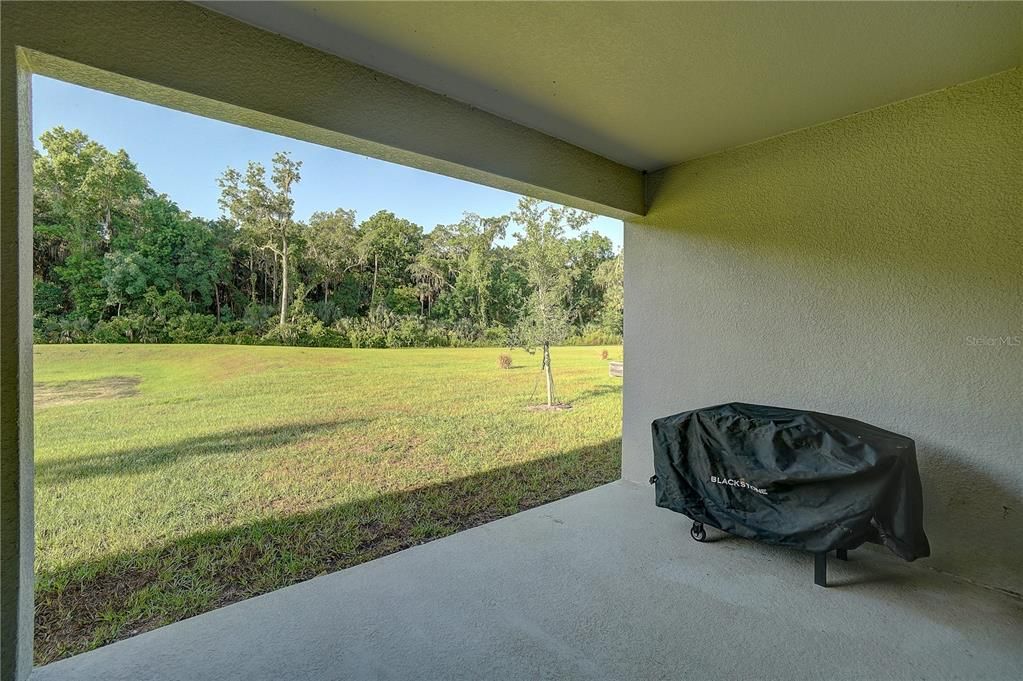 Back covered Patio showing no rear neighbors