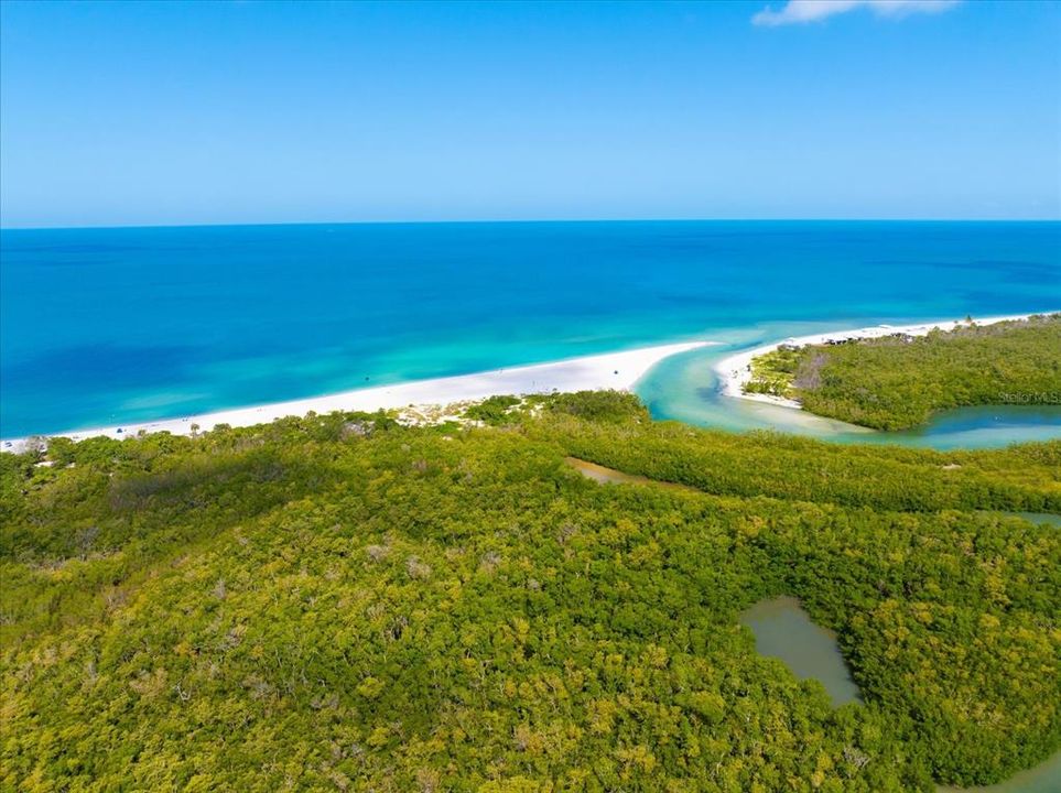 Aerial Beach View