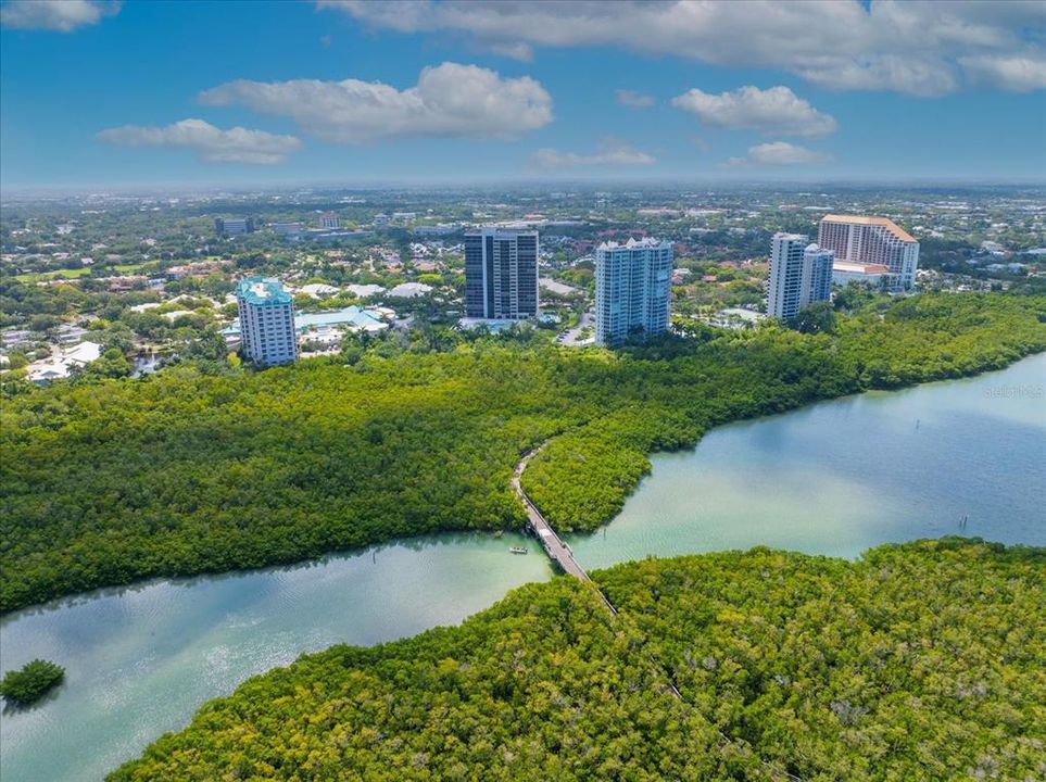 Lagoon Aerial