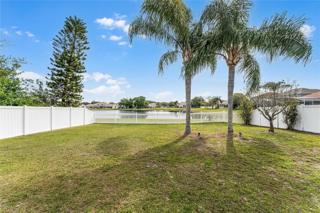 Backyard overlooking pond