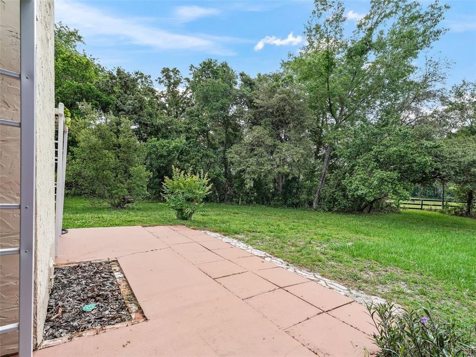 Open Patio off Living Room