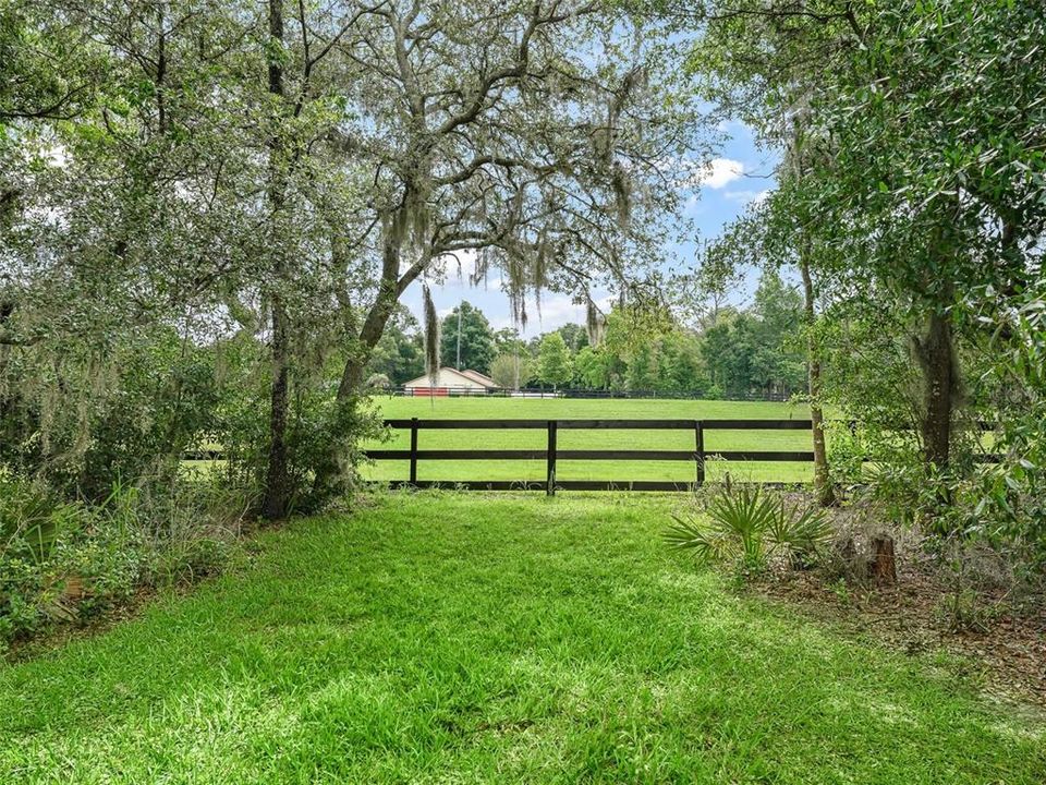 View of Adjacent 2 Acre Water Retention Area