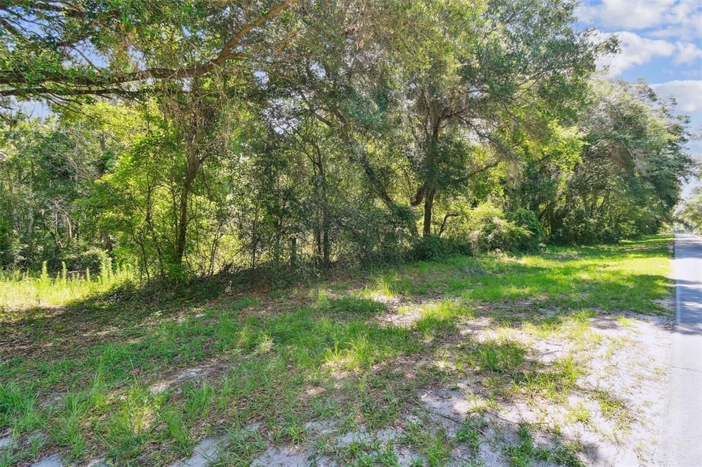 For Sale: $99,000 (11.04 acres)