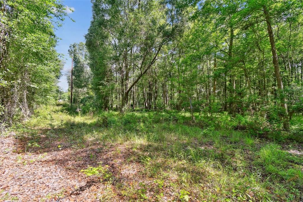 For Sale: $99,000 (11.04 acres)