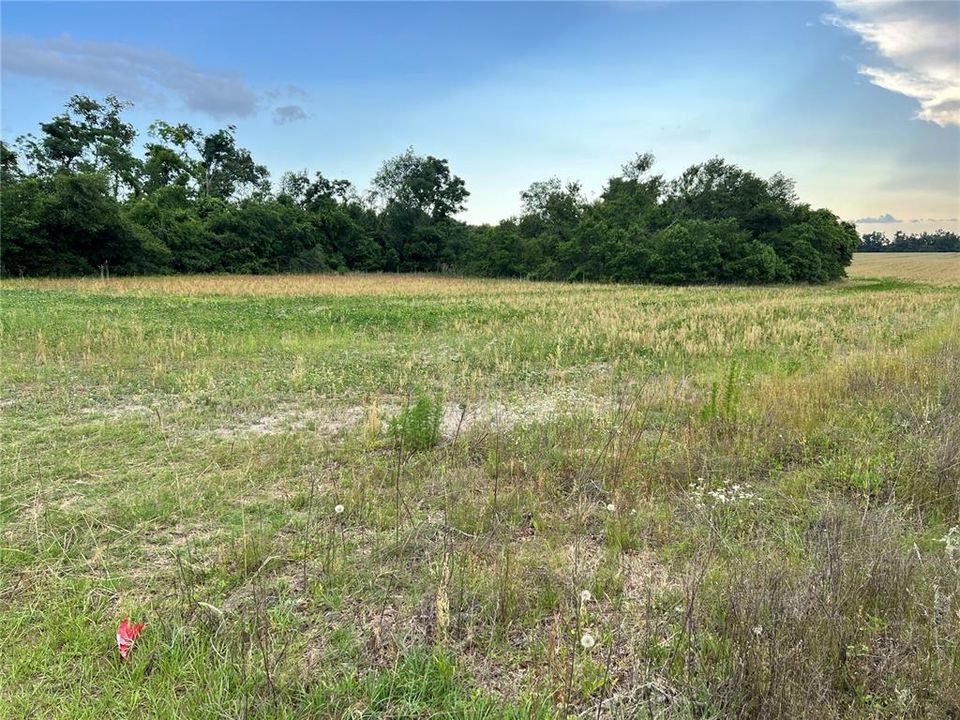 Active With Contract: $198,900 (20.00 acres)