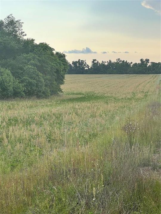 Active With Contract: $198,900 (20.00 acres)