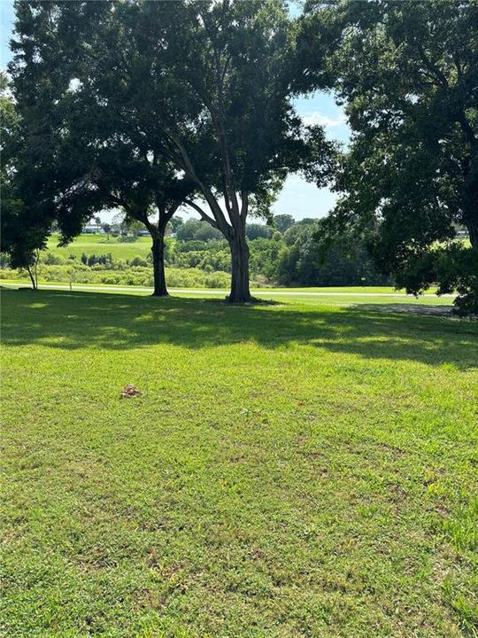 Golf course view