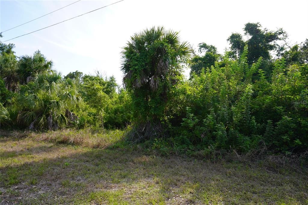 Active With Contract: $29,900 (0.23 acres)