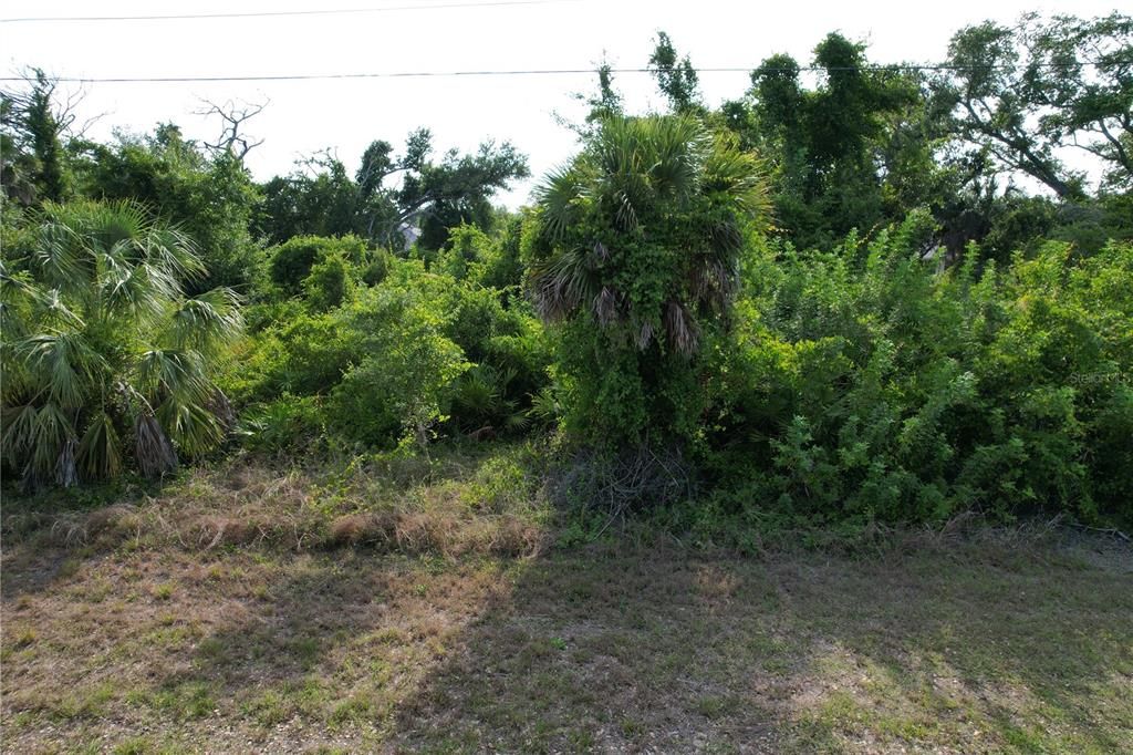 Active With Contract: $29,900 (0.23 acres)