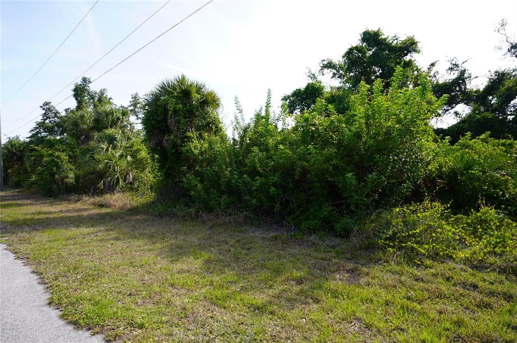 Active With Contract: $29,900 (0.23 acres)