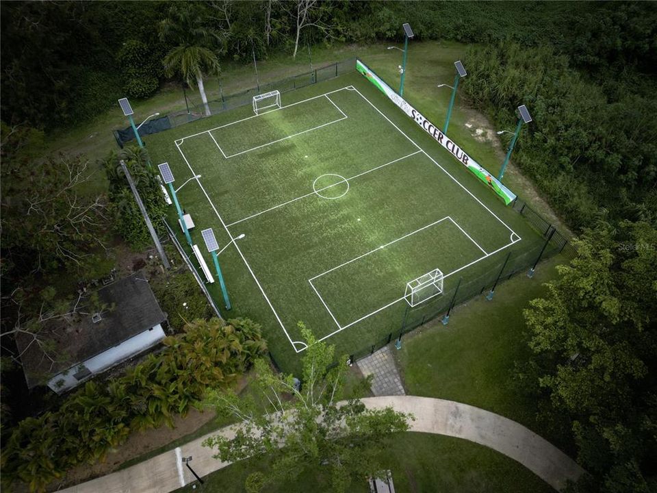 Soccer field.