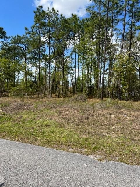 Recently Sold: $10,900 (0.25 acres)
