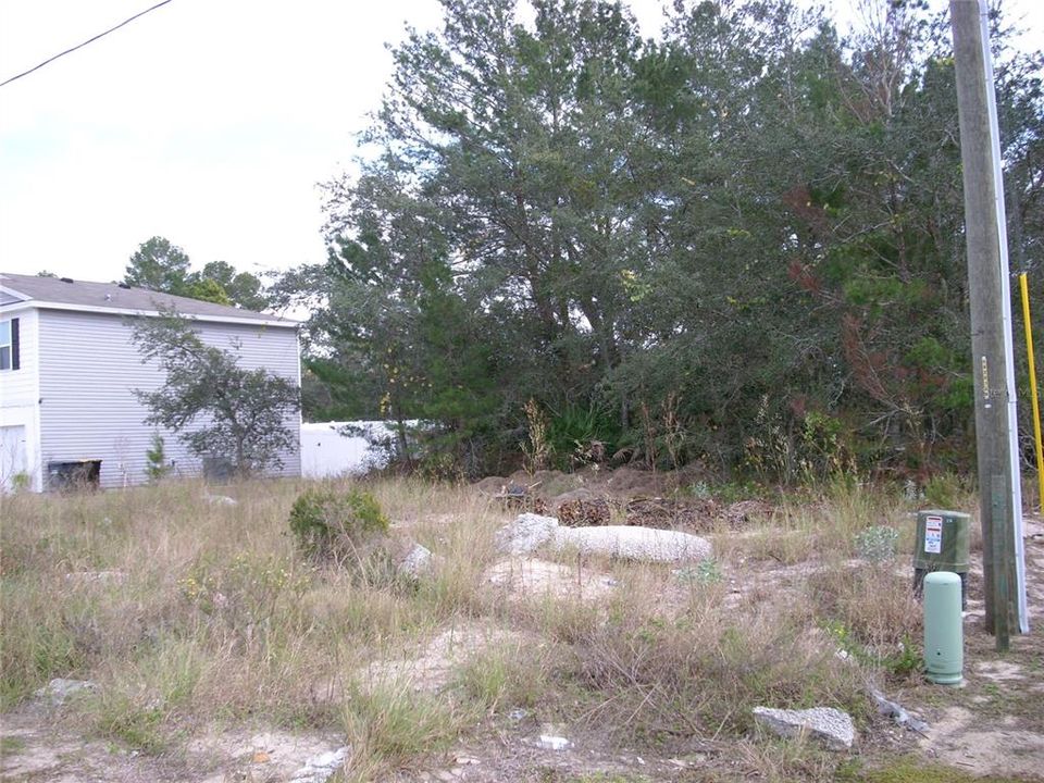 Fence at left edge of photo is the Neighbor's