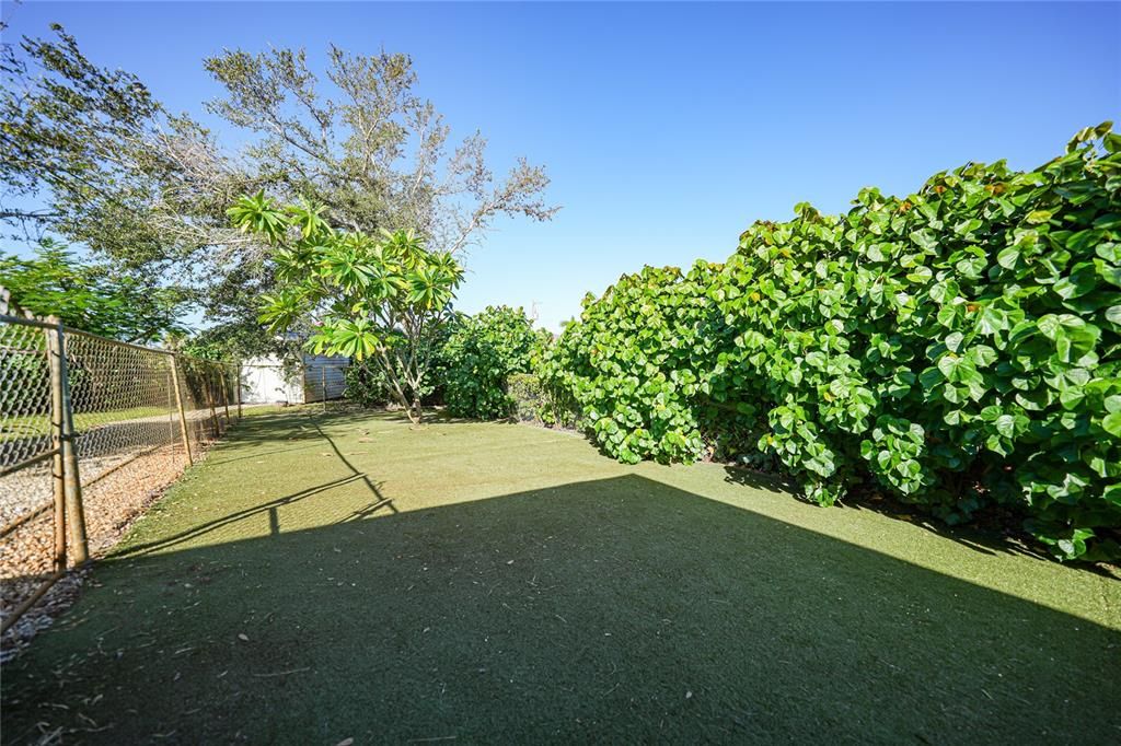 fenced in area with fake grass-easy cleanup and no dirt inside