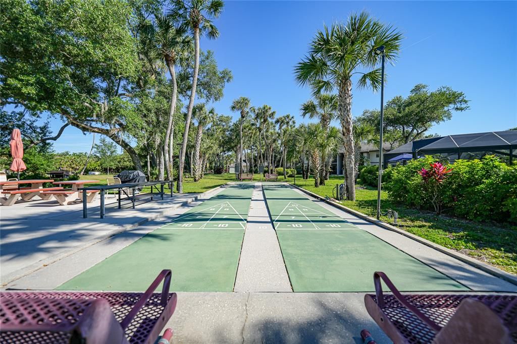 Ready for a game of shuffleboard?