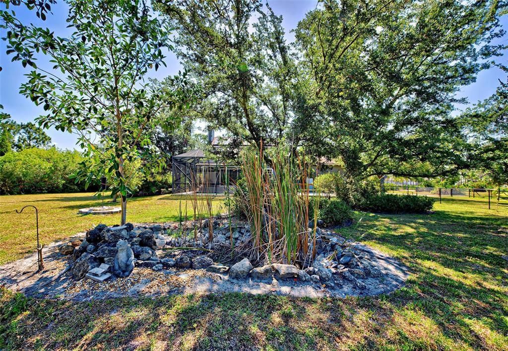 GARDEN POND