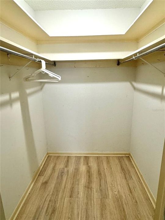 Spacious walk-in closet