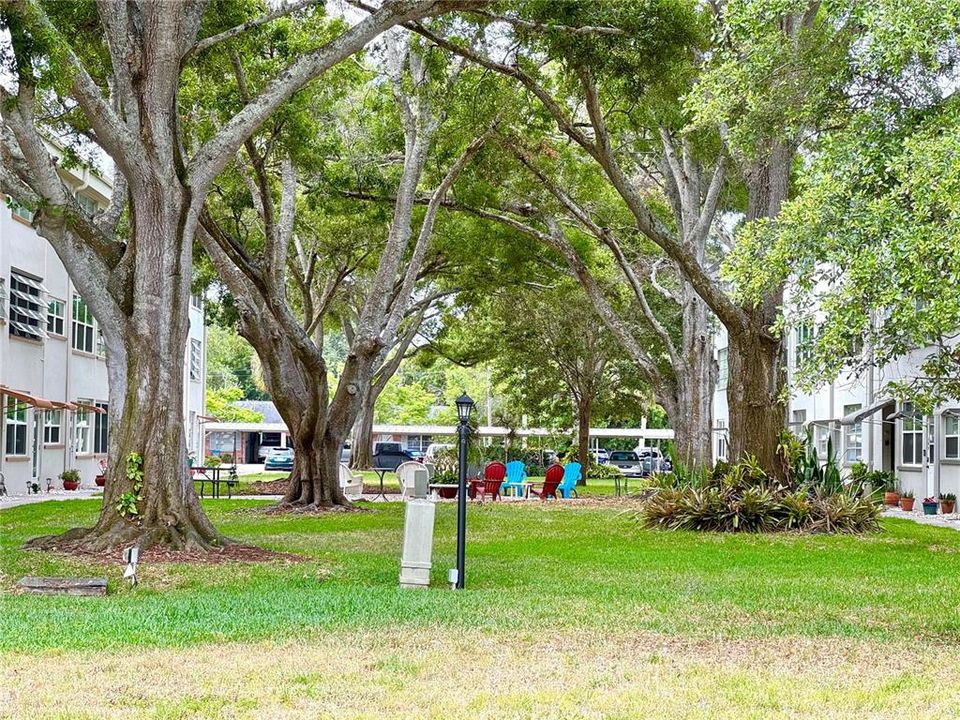 Park setting courtyard