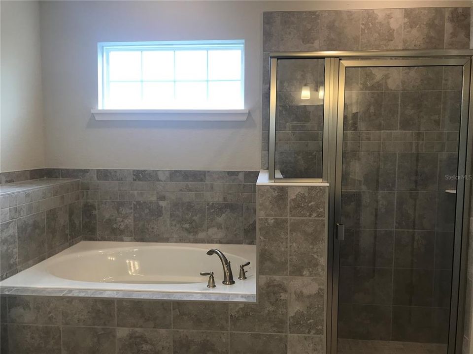 MASTER TUB and SHOWER