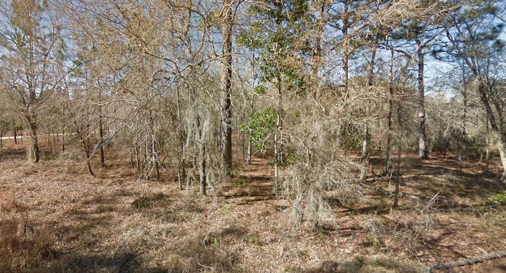 For Sale: $28,990 (1.00 acres)