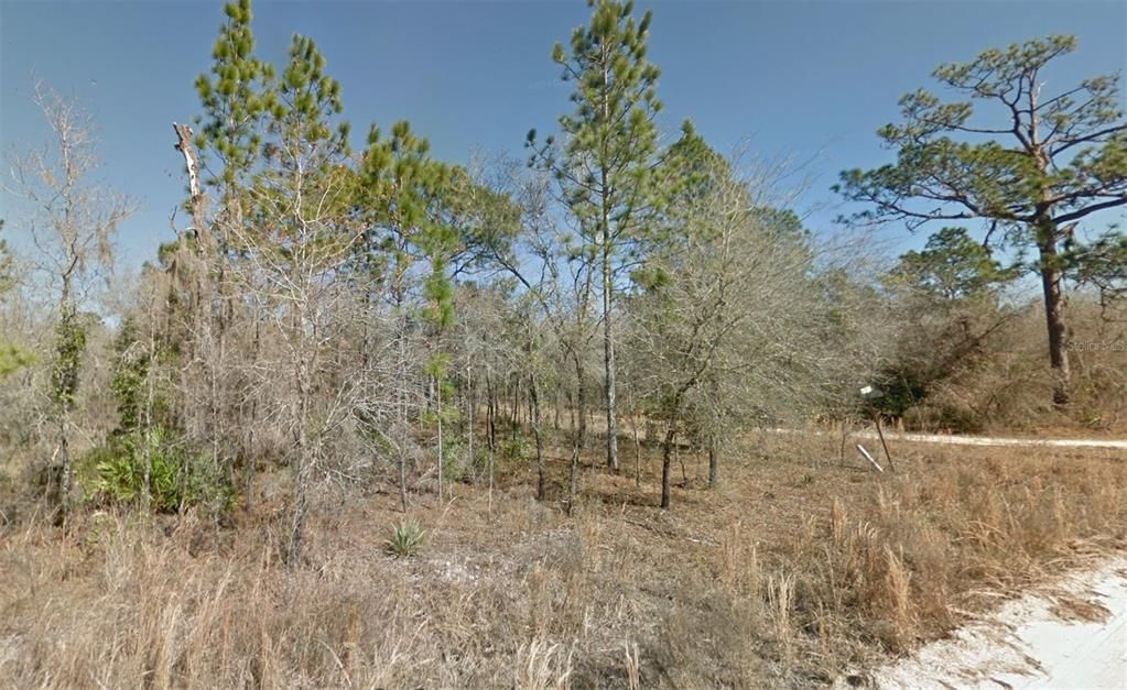 En Venta: $28,990 (1.00 acres)