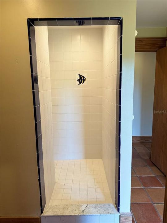 Master bathroom walk in shower