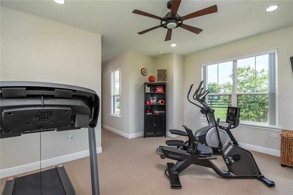 Gym or bonus room