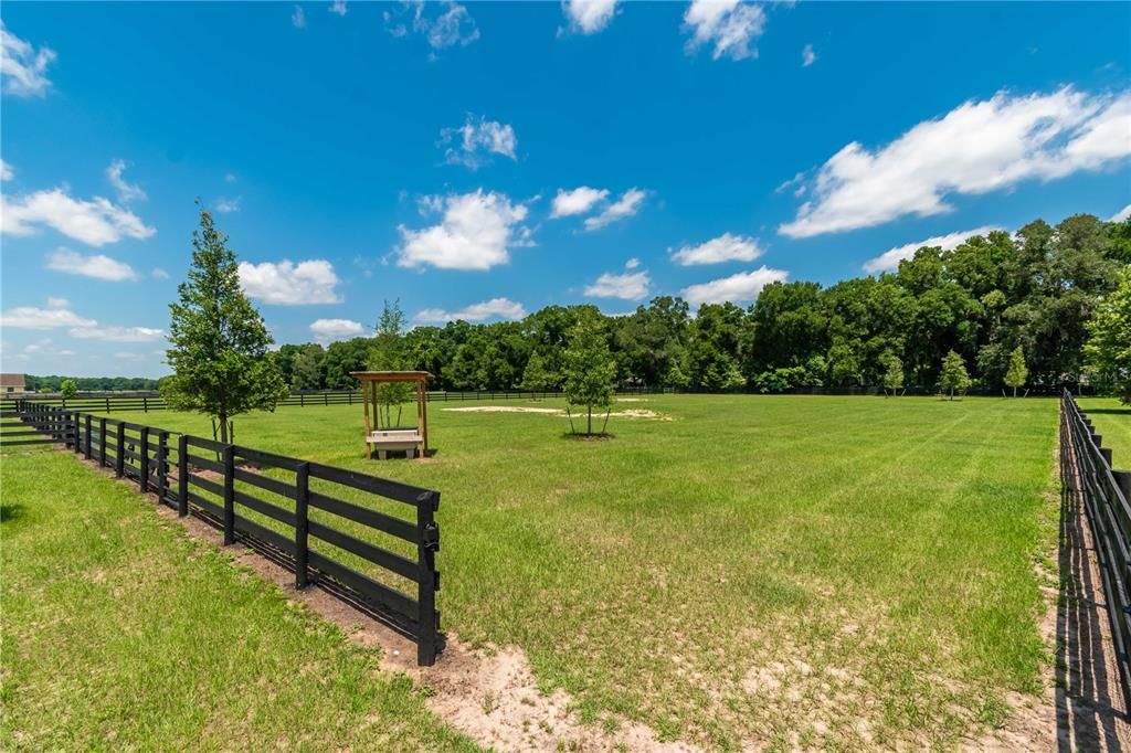 Rear portion of the property/yard