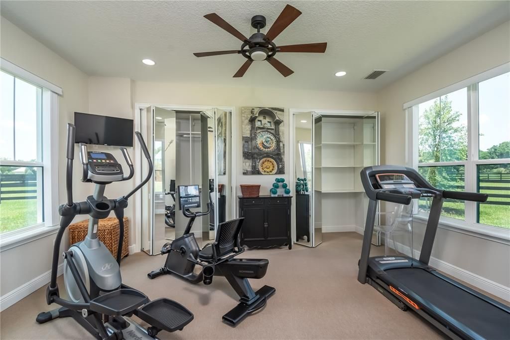 Gym or bonus room