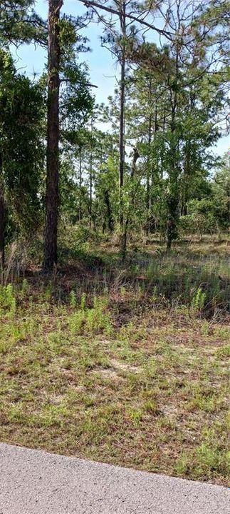 Active With Contract: $10,000 (0.25 acres)