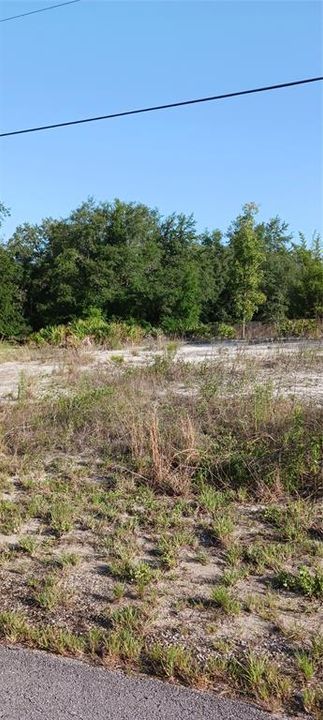 For Sale: $20,000 (0.48 acres)