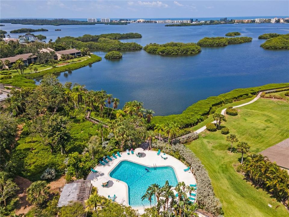 Wilbanks pool (one of six within Pelican cove)