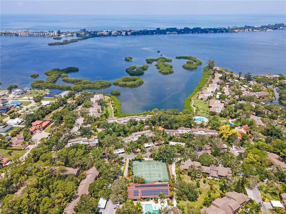 Overview of Pelican cove and layout along Sarasota bay