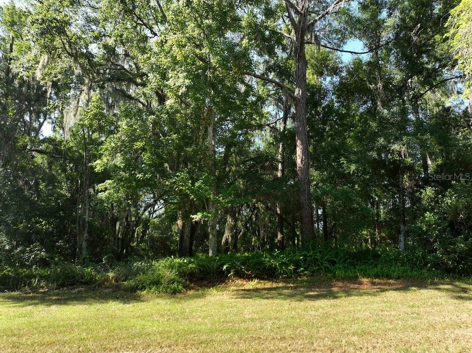 Active With Contract: $75,000 (1.08 acres)