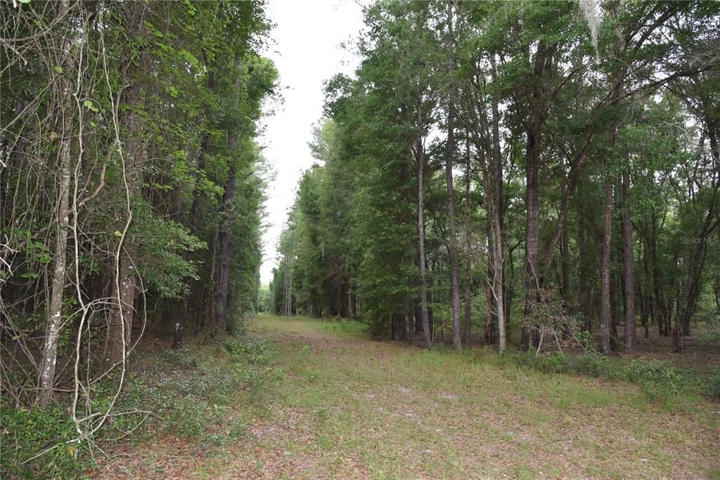 Recently Sold: $249,000 (32.00 acres)