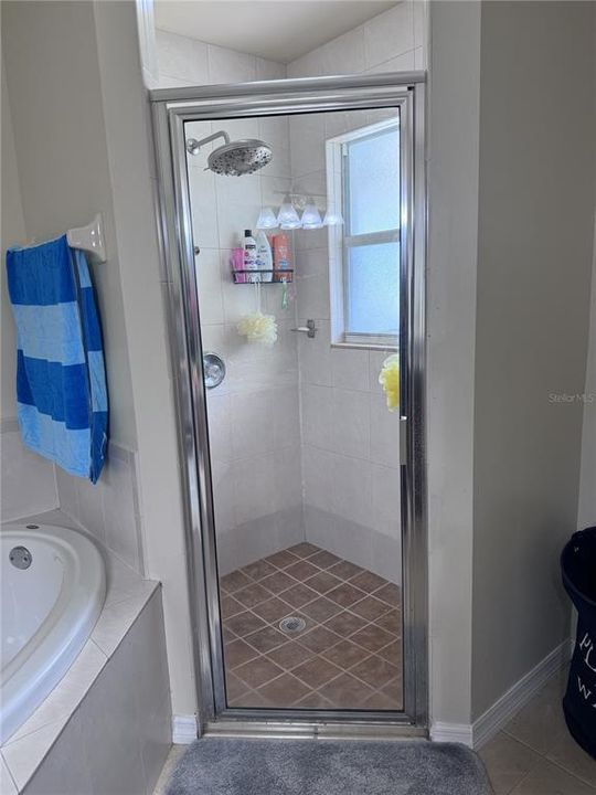 Shower room, Principal Bathroom