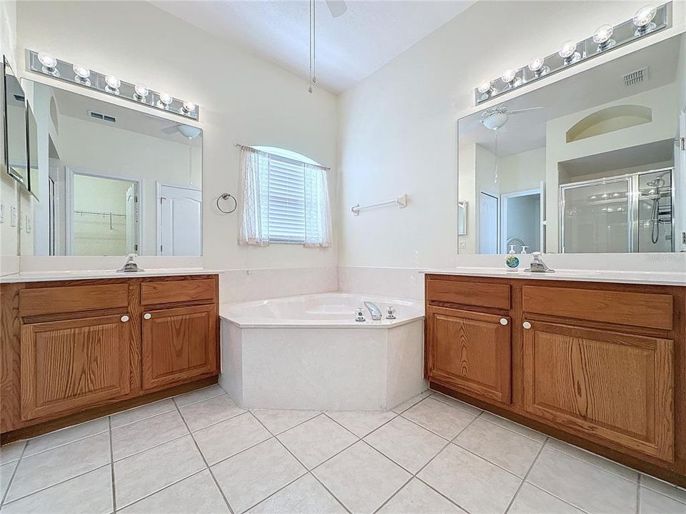 Master bathroom with Garden tub