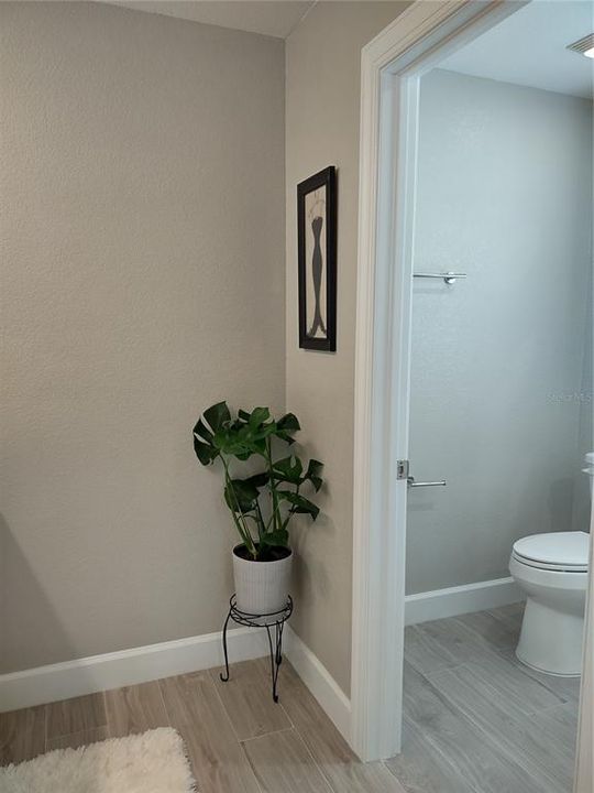 Master entry to toilet/Shower