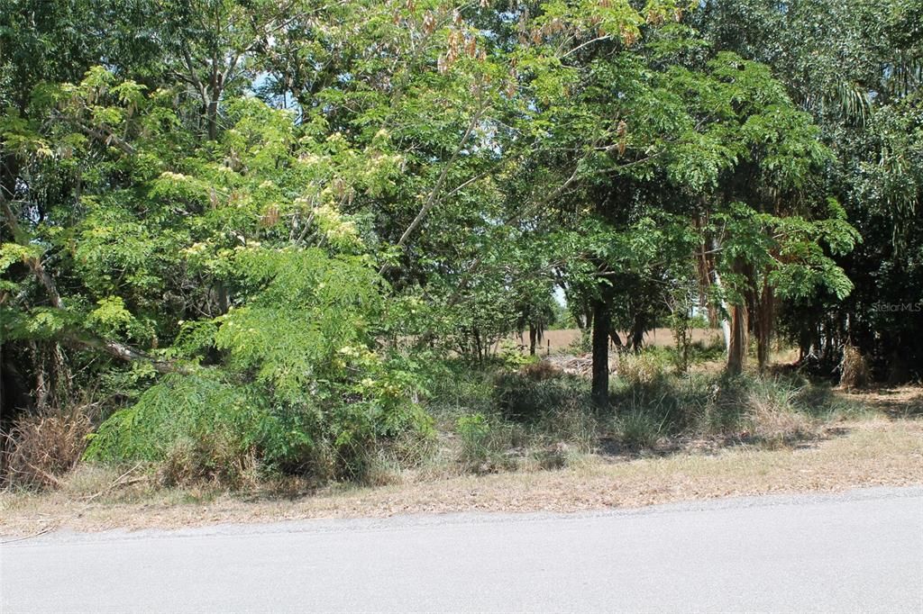 En Venta: $40,000 (0.21 acres)