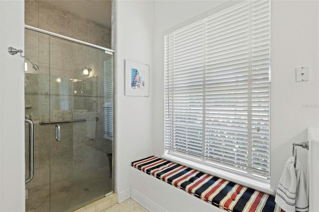 Master Shower/window seat