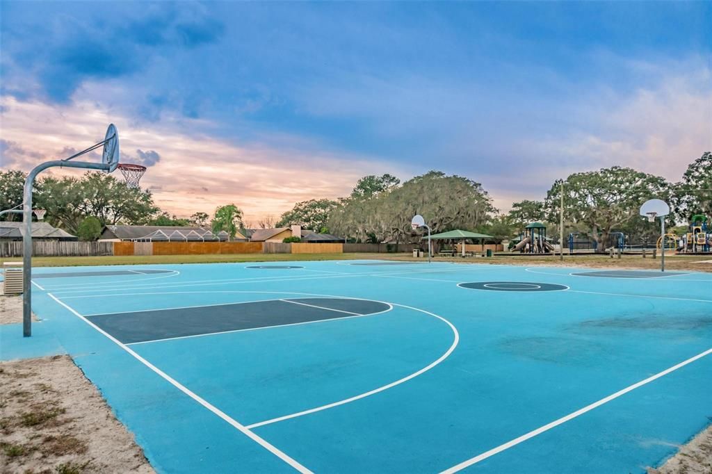 Bloomingdale park basketball court