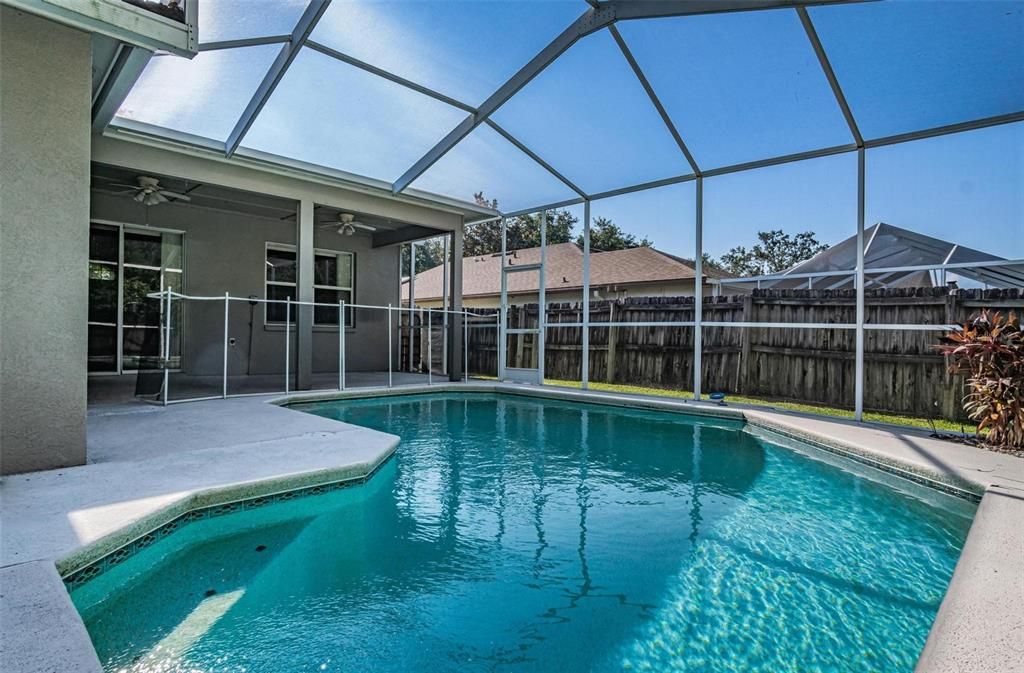 Pool and lanai