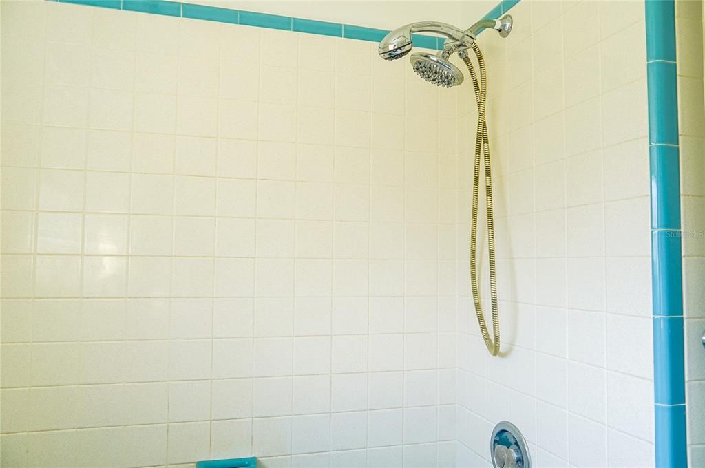 Hall bath tub and shower