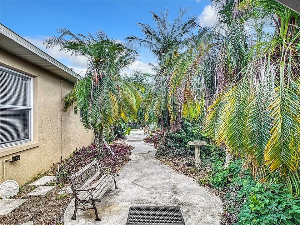 Side yard Jungle Oasis